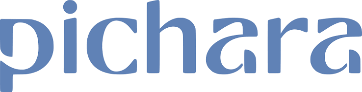 Logo Casa Pichara