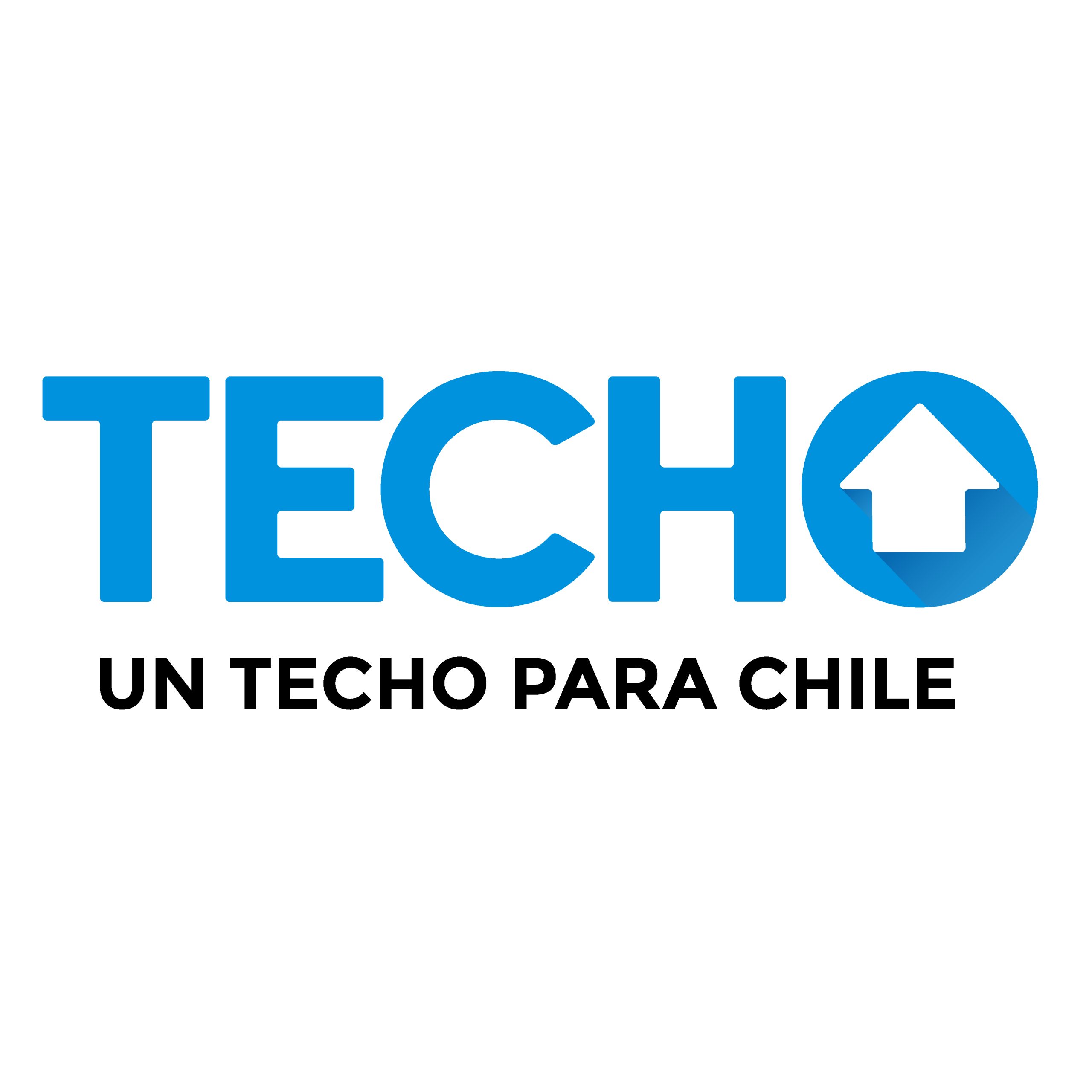 Logo Techo